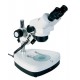 Stereo Microscope 20-40x zoom